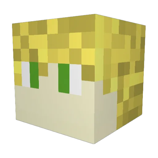 N0olat Minecraft avatar head, 3D render