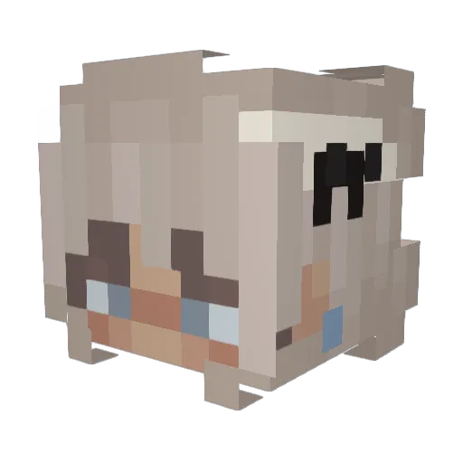 N0raa Minecraft avatar head, 3D render