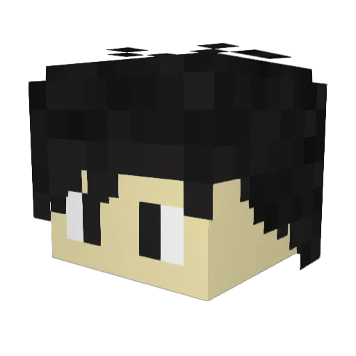 N0rch_ Minecraft avatar head, 3D render