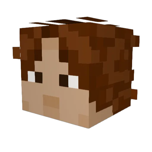 N0rm4lGuy Minecraft avatar head, 3D render
