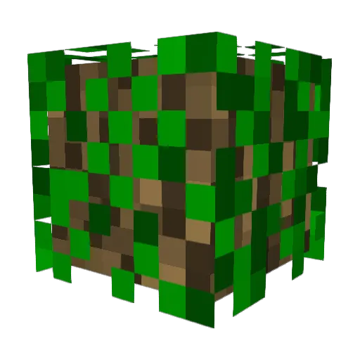 N0t4try Minecraft avatar head, 3D render