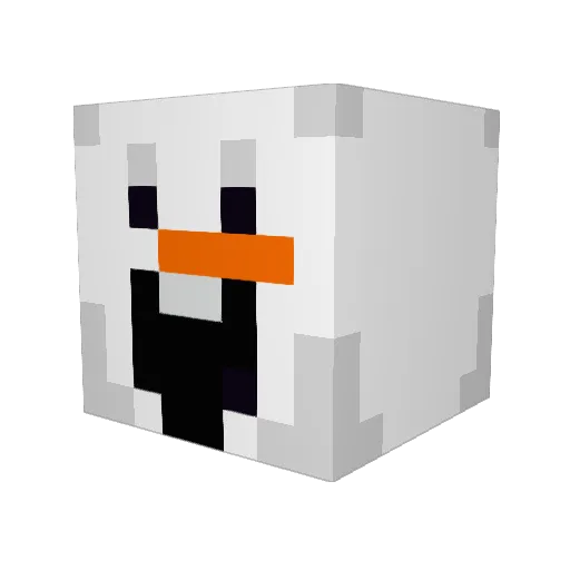 N0t71m07hy Minecraft avatar head, 3D render