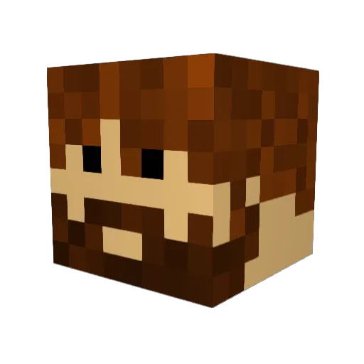 N0tAbe Minecraft avatar head, 3D render