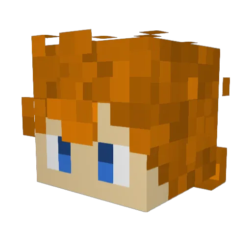 N0tDaniii Minecraft avatar head, 3D render