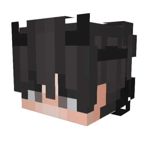 N0tDarkSide Minecraft avatar head, 3D render