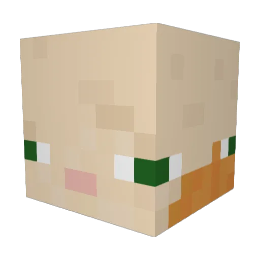 N0tLucy Minecraft avatar head, 3D render