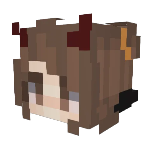 N0tNo0dles Minecraft avatar head, 3D render