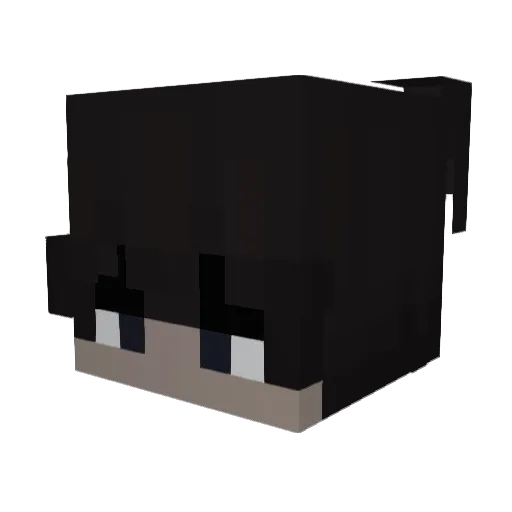N0tPro Minecraft avatar head, 3D render