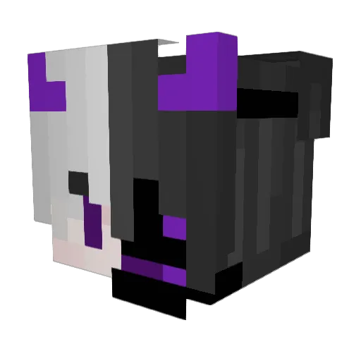 N0tT0x1c Minecraft avatar head, 3D render