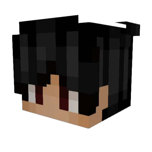 N0t_Creative Minecraft avatar head, 3D render
