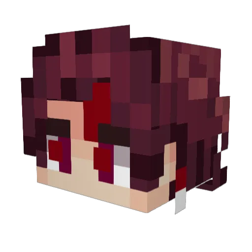 N0t_Niklas Minecraft avatar head, 3D render