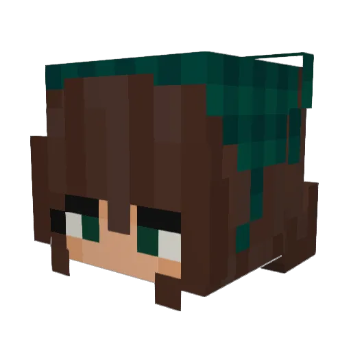 N0t_Qual1f13d Minecraft avatar head, 3D render