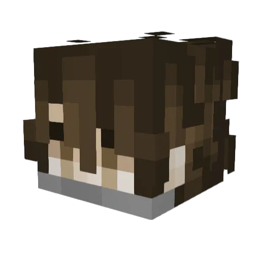 N0thing_matters Minecraft avatar head, 3D render