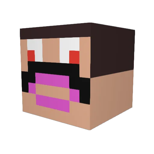 N0vinh0 Minecraft avatar head, 3D render