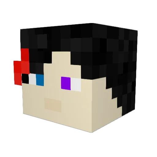 N0wgames Minecraft avatar head, 3D render