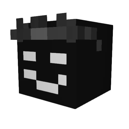 N0xX9 Minecraft avatar head, 3D render