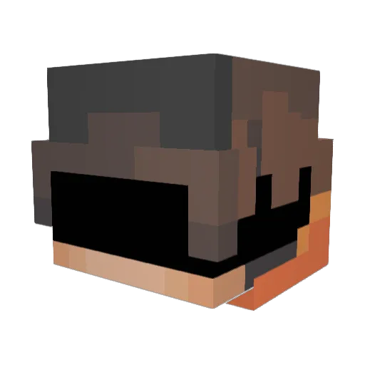 N0xx3ch0X7 Minecraft avatar head, 3D render