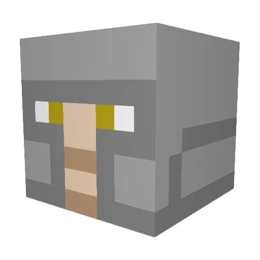 N11ggo Minecraft avatar head, 3D render