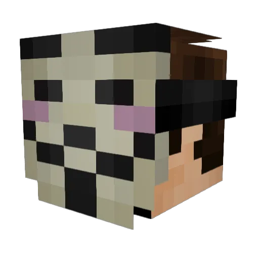 N16 Minecraft avatar head, 3D render