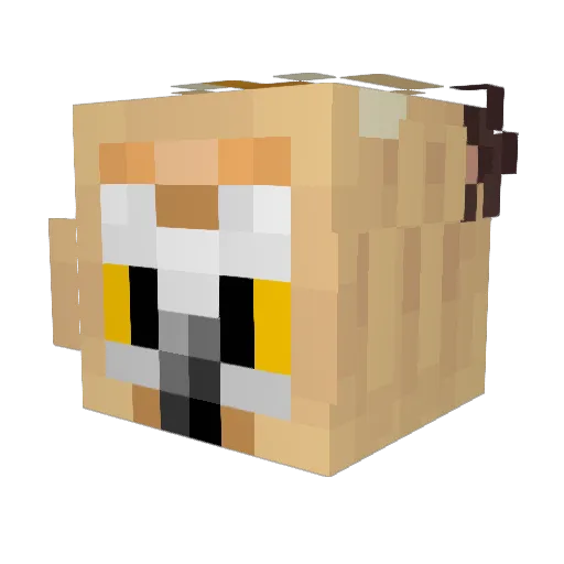 N19ht0w1 Minecraft avatar head, 3D render