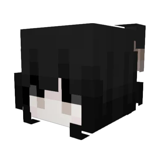 N1C0L31 Minecraft avatar head, 3D render