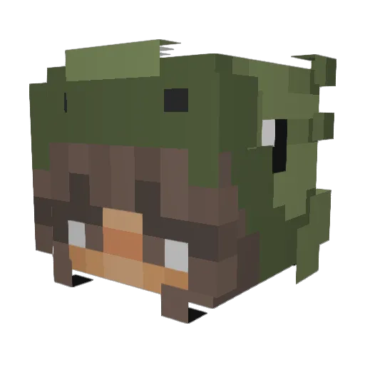 N1C0L3_ Minecraft avatar head, 3D render
