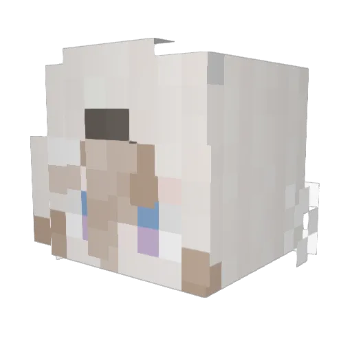 N1CEKILLER03 Minecraft avatar head, 3D render