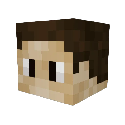 N1CH0L45 Minecraft avatar head, 3D render