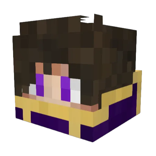 N1DH0GG_5 Minecraft avatar head, 3D render