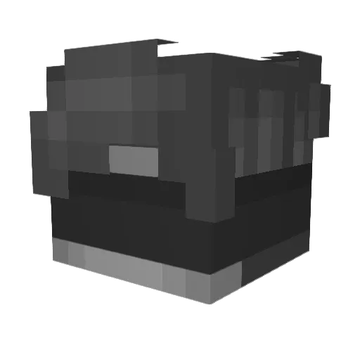 N1GHT_B34R Minecraft avatar head, 3D render