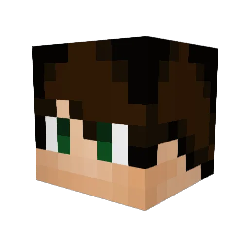 N1K324 Minecraft avatar head, 3D render