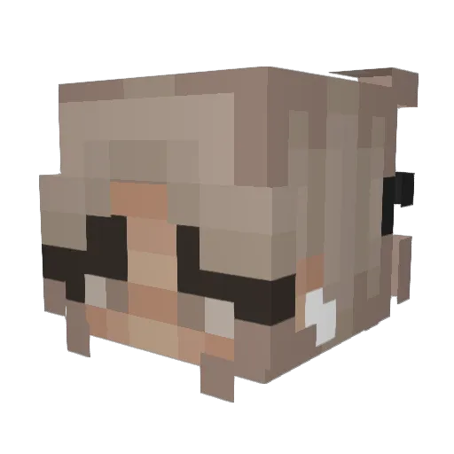 N1KK1 Minecraft avatar head, 3D render