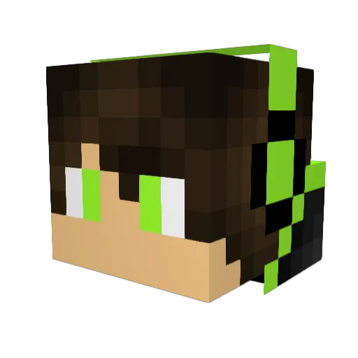 N1NJA102301 Minecraft avatar head, 3D render