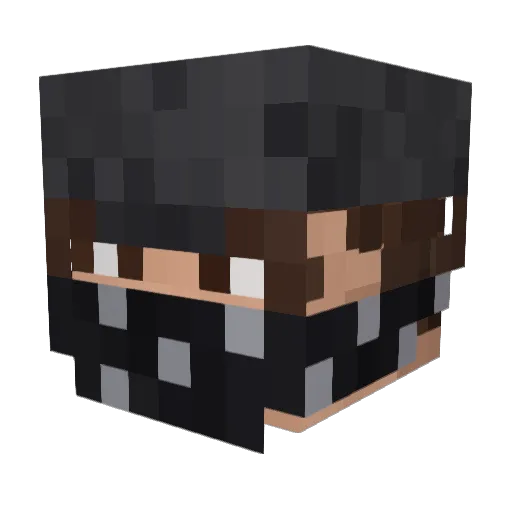 N1NJASSS Minecraft avatar head, 3D render