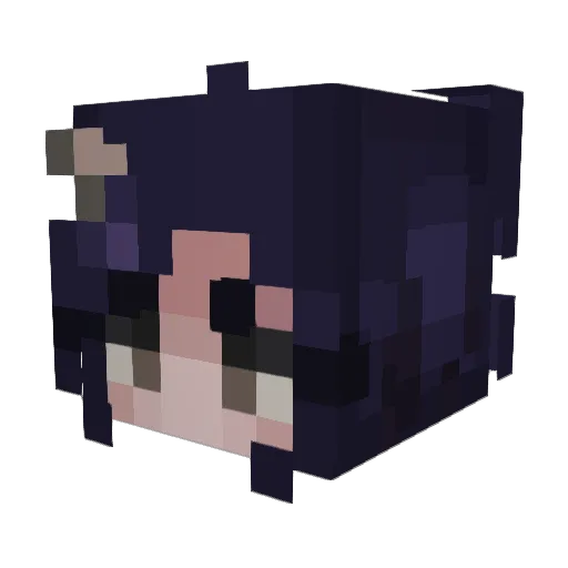 N1SEMON0 Minecraft avatar head, 3D render