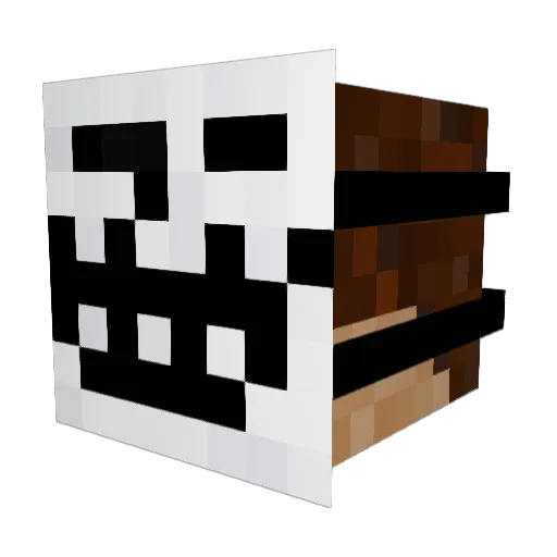 N1TED Minecraft avatar head, 3D render