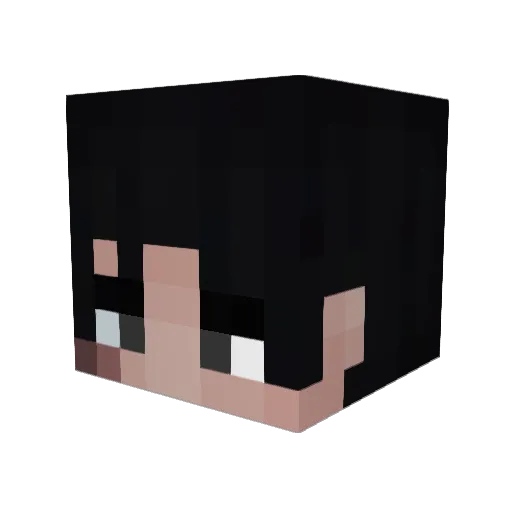N1TOgt Minecraft avatar head, 3D render