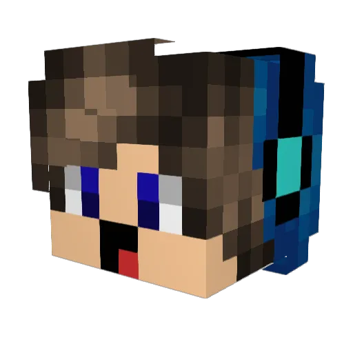 N1a11 Minecraft avatar head, 3D render