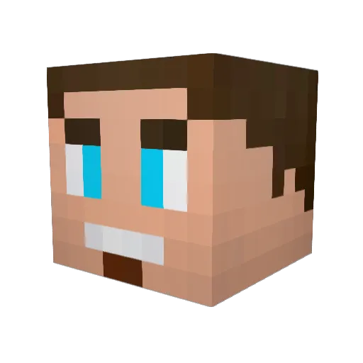 N1bra Minecraft avatar head, 3D render