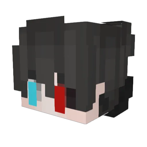 N1c0la079 Minecraft avatar head, 3D render