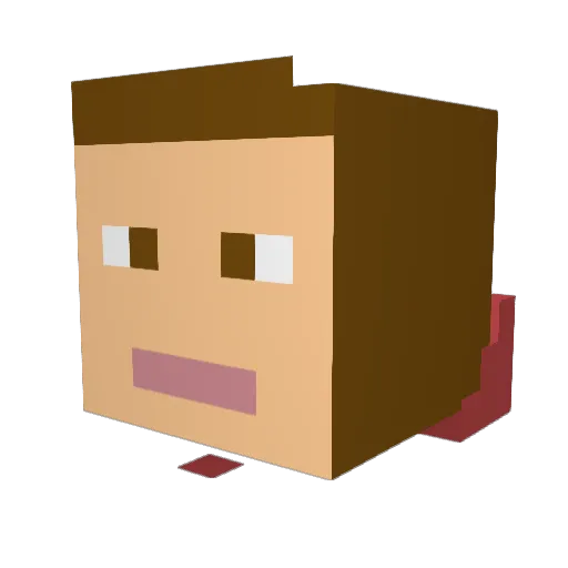 N1c0las_ Minecraft avatar head, 3D render