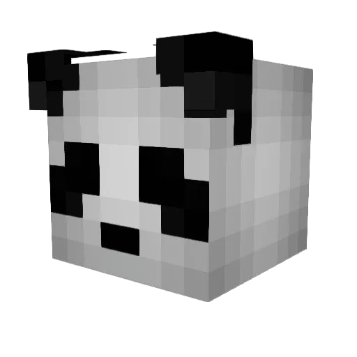 N1ck3742003 Minecraft avatar head, 3D render
