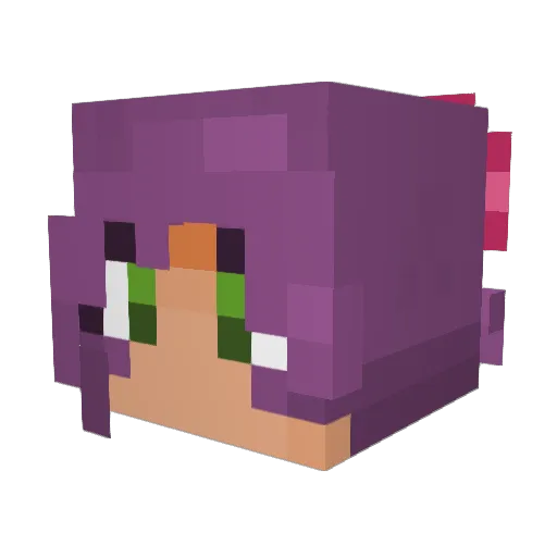 N1cktunes Minecraft avatar head, 3D render