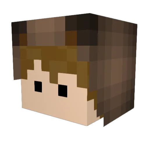 N1ckyBear Minecraft avatar head, 3D render