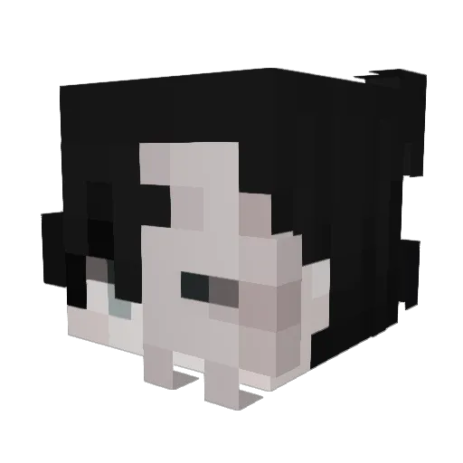 N1eznany Minecraft avatar head, 3D render