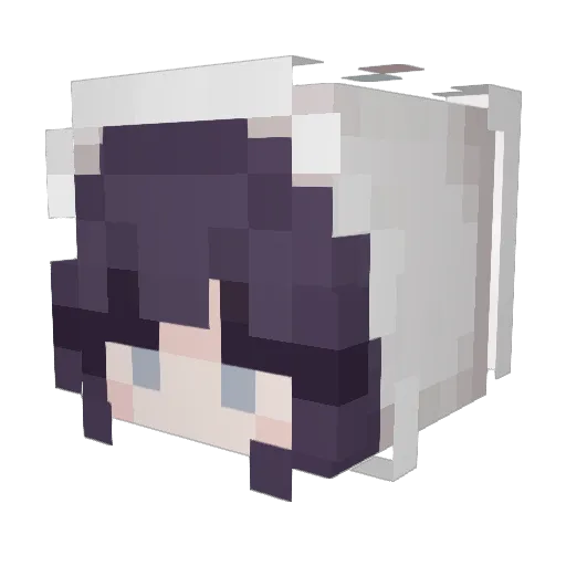 N1gh_T Minecraft avatar head, 3D render