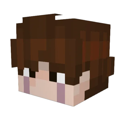 N1ghel Minecraft avatar head, 3D render