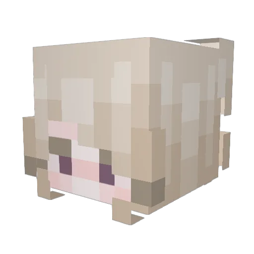 N1ghtLyToru Minecraft avatar head, 3D render