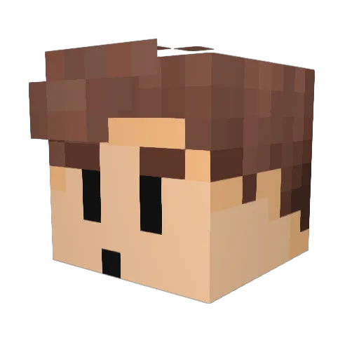 N1ghtRyder Minecraft avatar head, 3D render