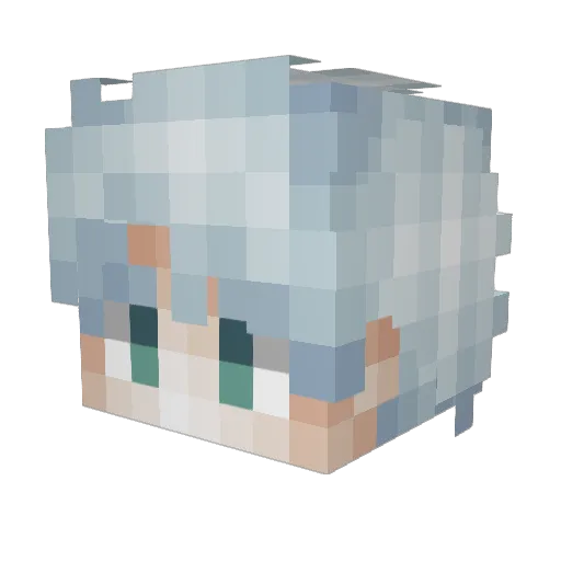 N1ghtfall11 Minecraft avatar head, 3D render